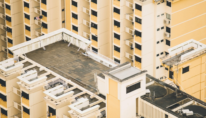 晋江市最新疫情防控图：科学防护，共建安全社区