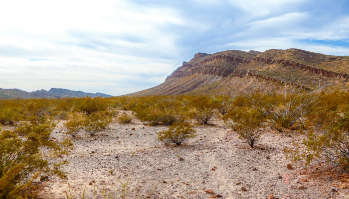 杨柳铺乡最新疫情情况：安全、健康与未来